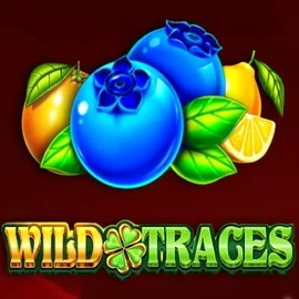 Wild Traces – slot by Amusnet Interactive, featured at wonacokasino.com